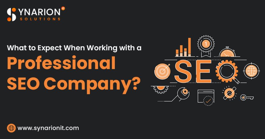 What to Expect When Working with a Professional SEO Company?