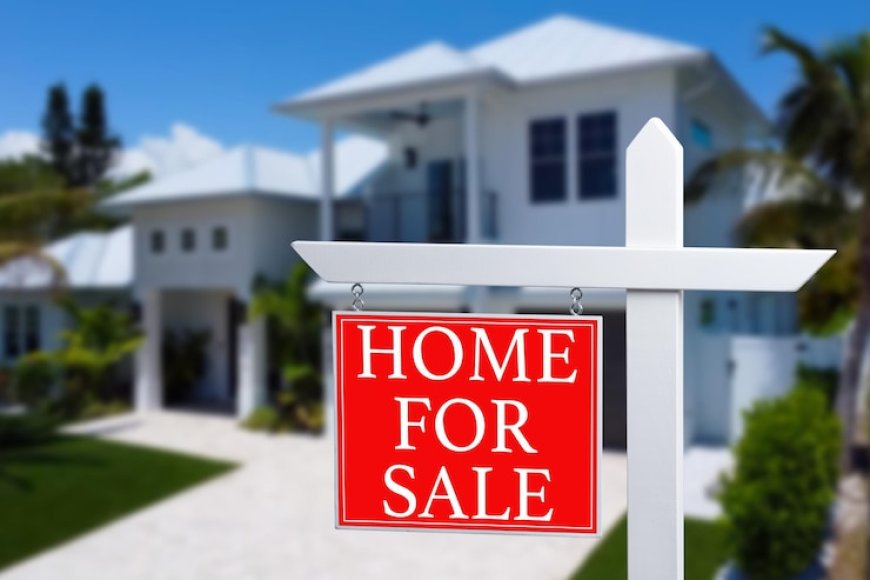 From Land to Luxury: How to Navigate Land for Sale and House for Sale Offers