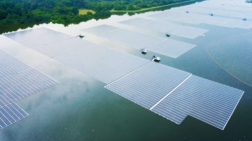 Empowering a Greener Tomorrow: How SDU Courses in Singapore Support the Singapore Sustainable Blueprint