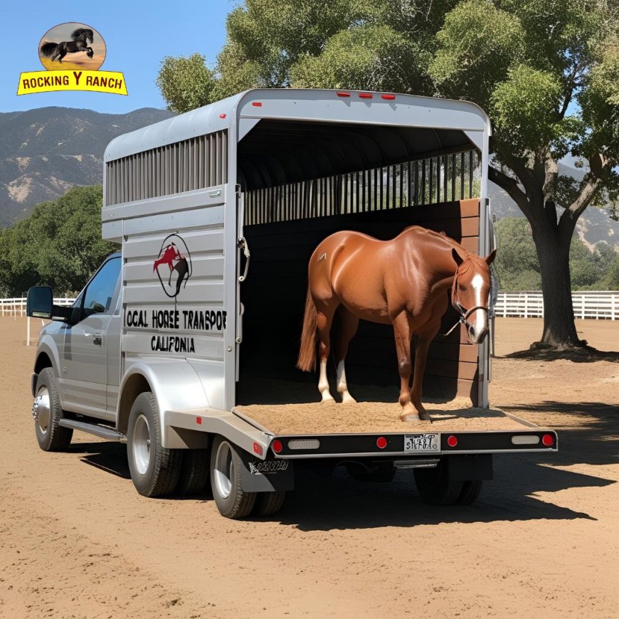Trusted Horse Shippers California – Rocking Y Ranch