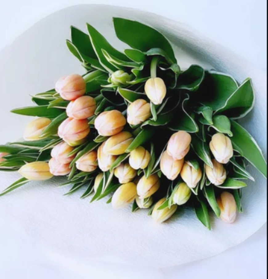 Sending Emotions Through Blooms: Trusted Florists in Melbourne’s Suburbs