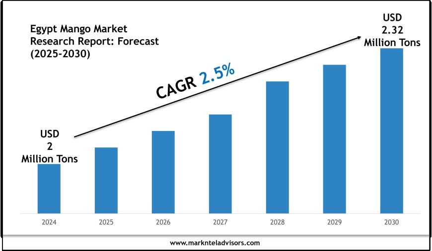 Egypt Mango Market Report 2025–2030: Outlook Featuring Fresh Fruits Company & Royal Egyptian Mangoes