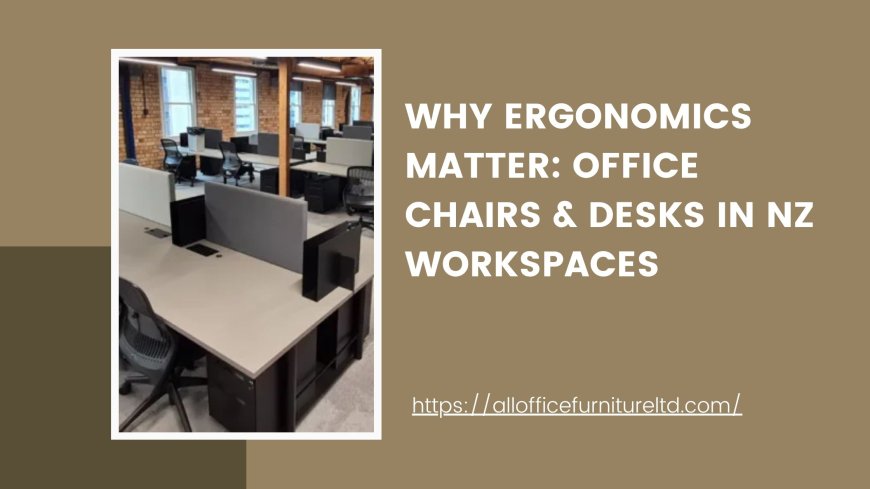Why Ergonomics Matter: Office Chairs & Desks in NZ Workspaces