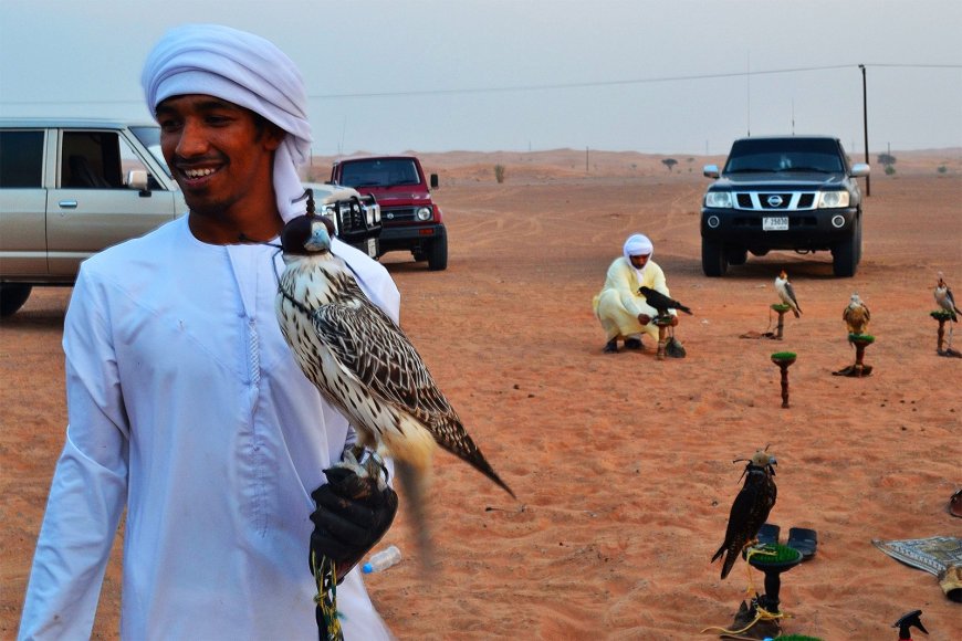 Discover the Magic of Dubai Falconry Experience