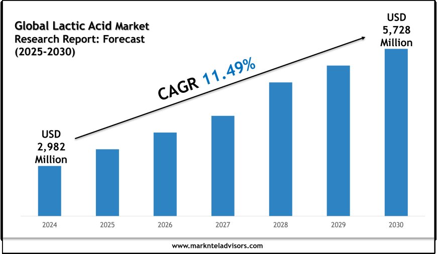 Lactic Acid Market Overview 2025–2030: Trends by Cargill and Kemin Industries