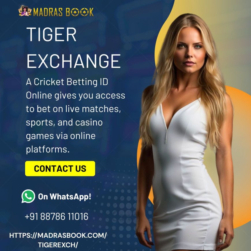 Mastering Live Odds: How TigerExch Updates Can Give You an Edge