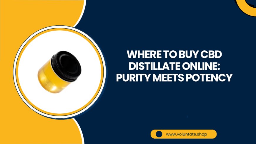 Where to Buy CBD Distillate Online: Purity Meets Potency