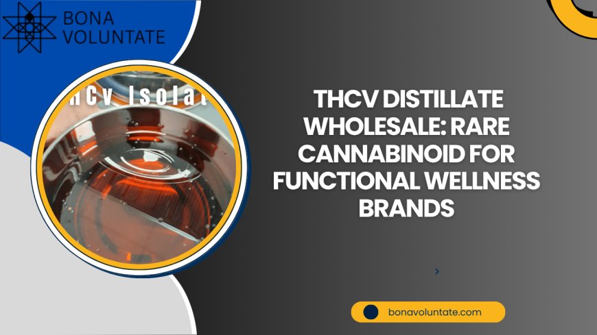 THCV Distillate Wholesale: Rare Cannabinoid for Functional Wellness Brands