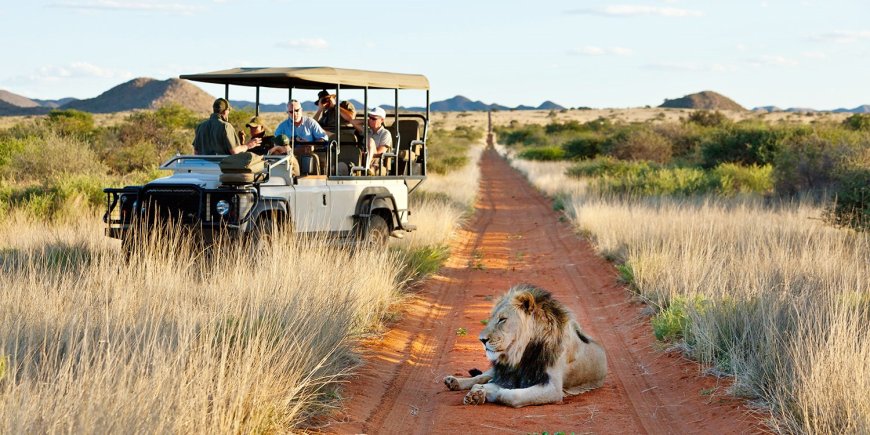 The Ultimate Guide to African Safaris and Tours in 2025