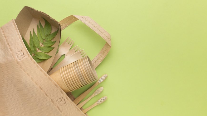 What Makes Compostable Carry Bags Ideal for Andhra Pradesh’s Plastic Ban?