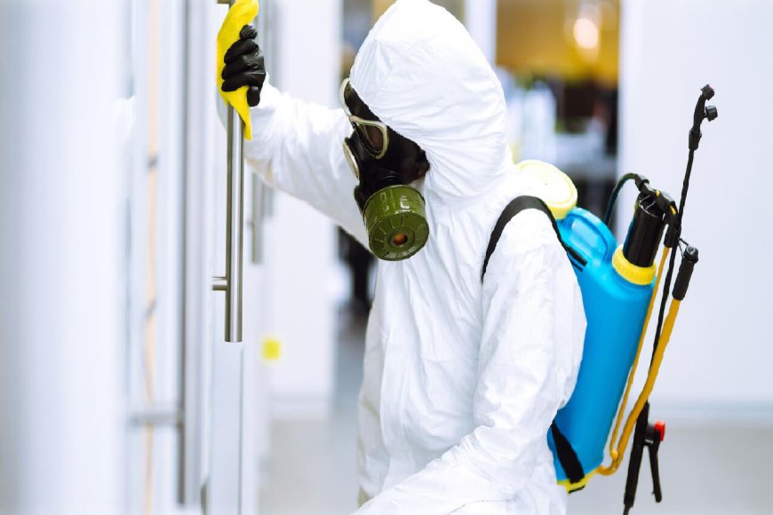 Pest Control Brooklyn NY – Comprehensive Solutions for City Living