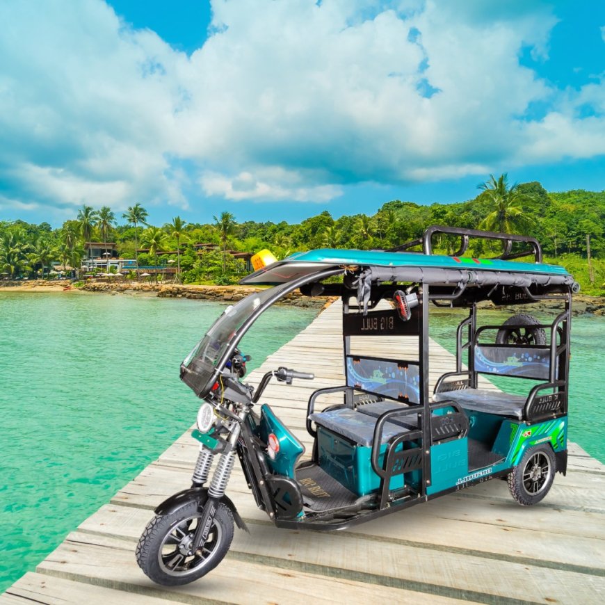 Setup Report on E-Rickshaw Manufacturing Plant- Detailed Project Cost