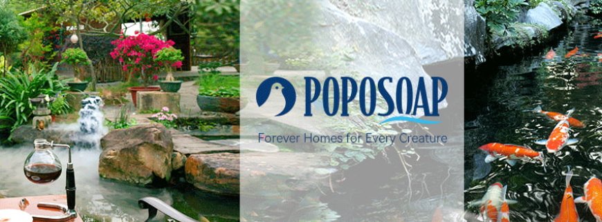 Bring Nature to Life with a Floating Solar Fountain | Solar Powered Floating Fountain from Poposoap