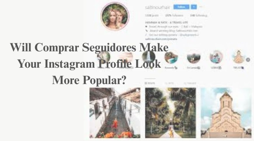 Will Comprar Seguidores Make Your Instagram Profile Look More Popular?