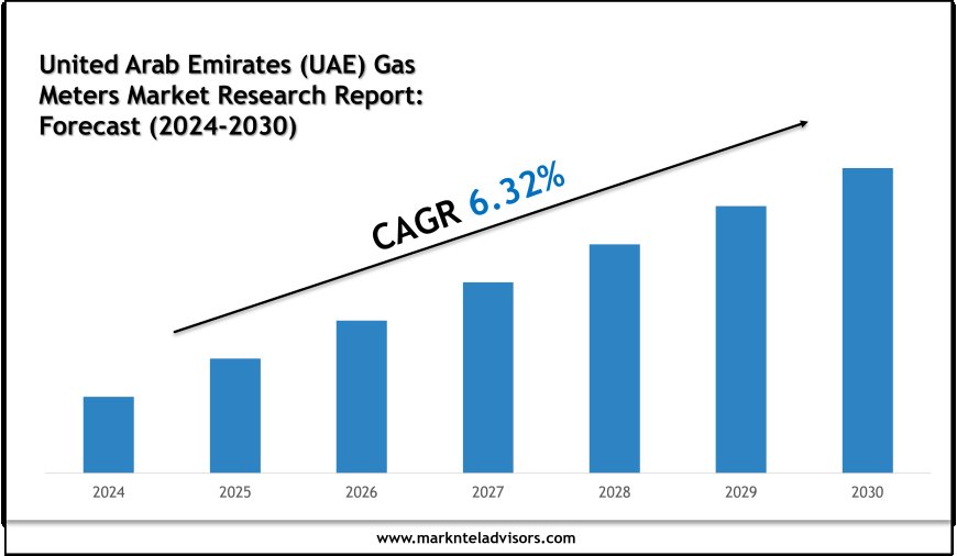 United Arab Emirates (UAE) Gas Meters Industry Growth to 2030: Market Insights from Elster Group (Honeywell) and Badger Meter Inc.