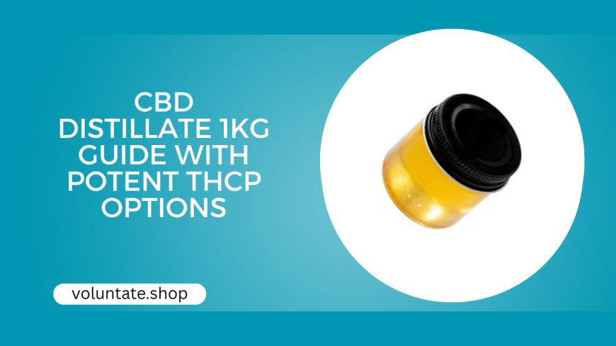 CBD Distillate 1KG Guide with Potent THCp Options
