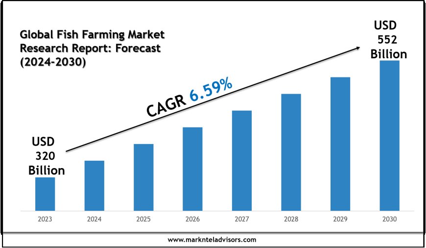 Future of Global Fish Farming Market Market: Size, Growth & Key Players like Bakkafrost, Thai Union Group PCL