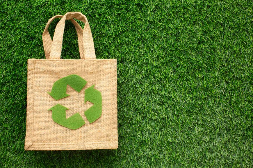 How Schools Can Benefit from Eco Friendly Products