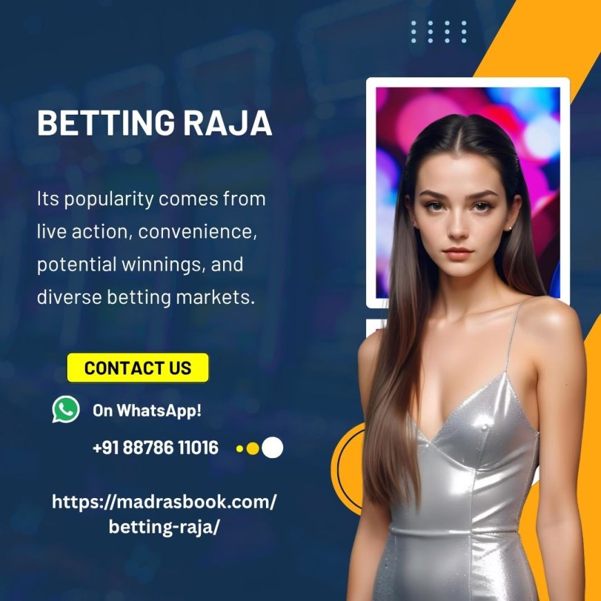 How Betting Raja curates its casino game portfolio for the Indian audience