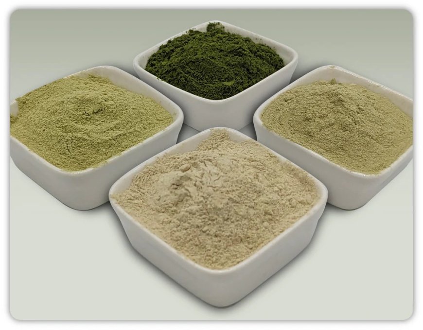 How to Pick the Best Wasabi Powder for Sushi That Tastes Like Japan