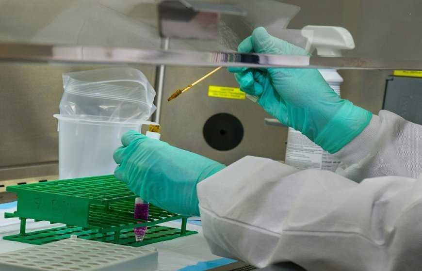 RNA-Protein Interaction Analysis: Advances in CLIP-Seq Technology and Applications