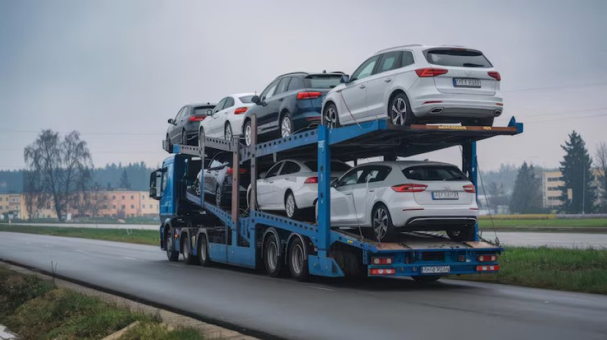 Car Transport Company Florida – Safe, Timely, and Professional Auto Relocation