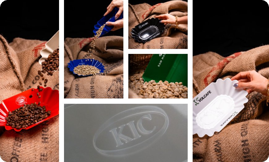 Best Durable Coffee Lab Tray Sets for Professionals
