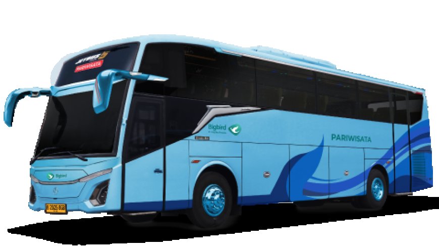 Things to Consider When Choosing A Charter Bus