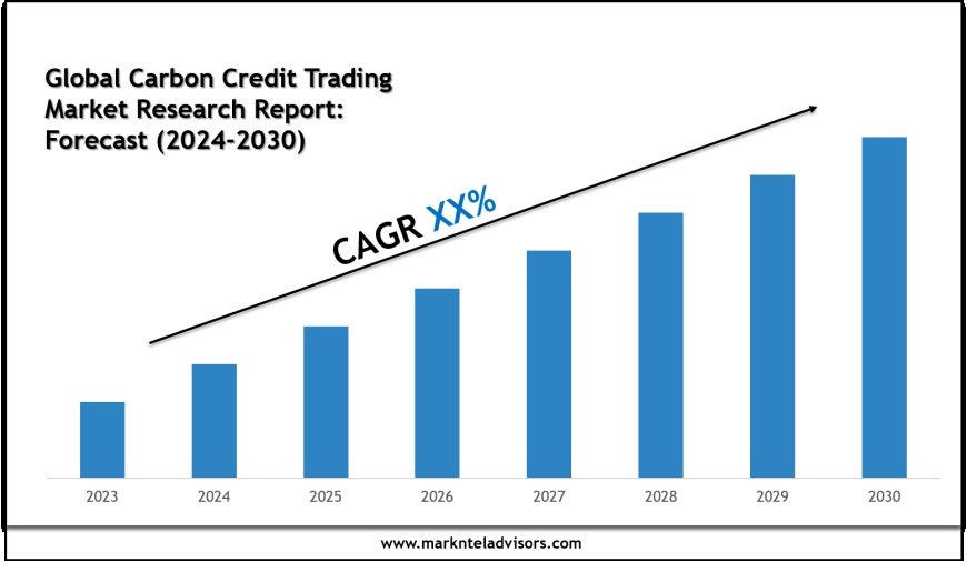 Carbon Credit Trading Market Overview 2024–2030: Trends by Xpansiv