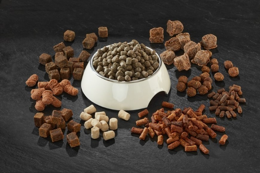Pet Food Manufacturing Plant Project Report 2025: Setup Details