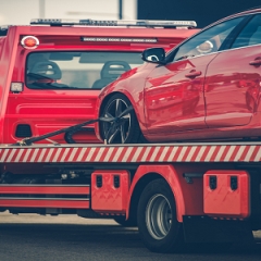 startowing