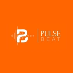 Pulse Beat Records