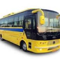 BUSXOXO